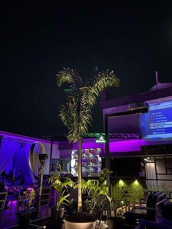 SAGA Bistro and Lounge